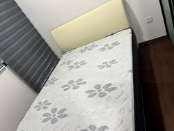 The M (D7), Apartment #474951481